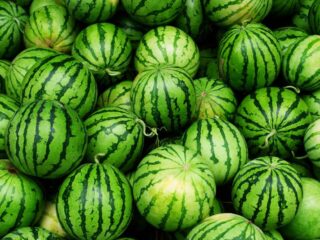 Watermelons-AdobeStock-By-flucas
