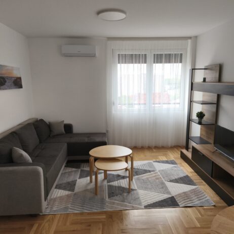 Izdajem nov luksuzno namesten jednoiposiban stan pored klinickog centra. 0638733078