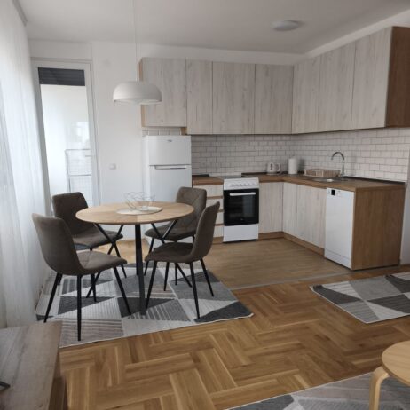 Izdajem nov luksuzno namesten jednoiposiban stan pored klinickog centra. 0638733078