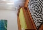 IZDAJEM STAN U CENTRU NISA / CRVENI PEVAC