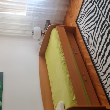 IZDAJEM STAN U CENTRU NISA / CRVENI PEVAC
