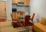 Izdajem garsonjeru u srogom centru Nisa full opremljenu u novoj zgradi,tacnije na 50 ak metara od ..pravnog i ekonomskog fakulteta.cena 250 eur.br tel 063400805