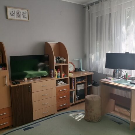 Na prodaju pet komoda i radni sto