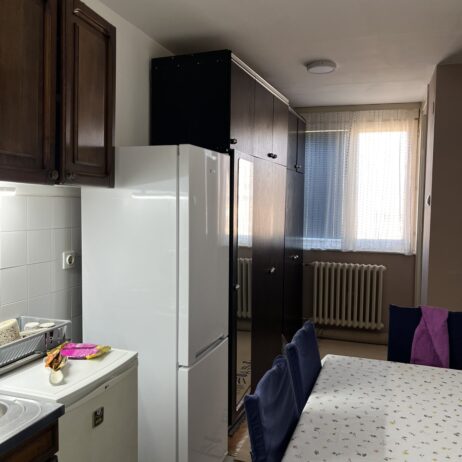 Izdajem namesten jednosoban stan 34m2 na Vizantijskom bulevaru pored parka Svetog Save. CG, KTV, internet. Cena 250 eura. 0601858100