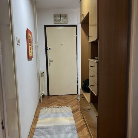 Izdajem namesten jednosoban stan 34m2 na Vizantijskom bulevaru pored parka Svetog Save. CG, KTV, internet. Cena 250 eura. 0601858100