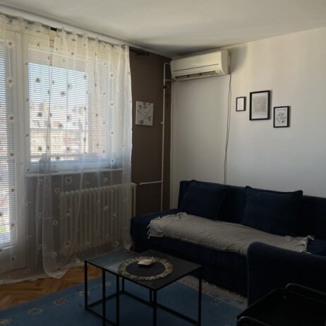 Izdajem namesten jednosoban stan 34m2 na Vizantijskom bulevaru pored parka Svetog Save. CG, KTV, internet. Cena 250 eura. 0601858100