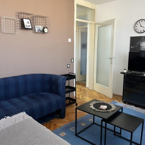 Izdajem namesten jednosoban stan 34m2 na Vizantijskom bulevaru pored parka Svetog Save. CG, KTV, internet. Cena 250 eura. 0601858100