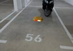Izdajem garažno i parking mesto u Nišu, ul.Cara Dušana 67  Tel.064 0884509