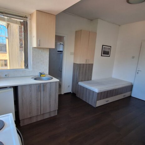 Izdajem namestenu garsonjeru u centru Nisa. Grejanje TA. Cena 130 eura. 0654119889