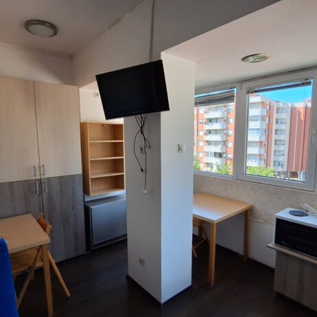 Izdajem namestenu garsonjeru u centru Nisa. Grejanje TA. Cena 130 eura. 0654119889