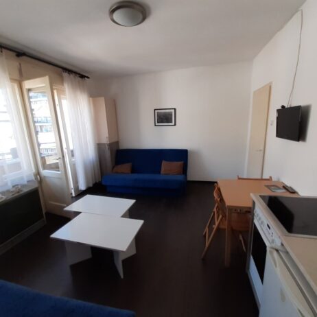 Izdajem namesten dvosoban stan u centru Nisa. Grejanje TA. Cena 220 eura. 0654119889