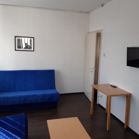 Izdajem namesten dvosoban stan u centru Nisa. Grejanje TA. Cena 220 eura. 0654119889