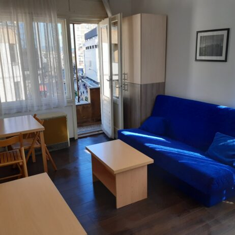 Izdajem namesten dvosoban stan u centru Nisa. Grejanje TA. Cena 220 eura. 0654119889