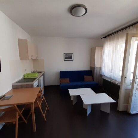 Izdajem namesten dvosoban stan u centru Nisa. Grejanje TA. Cena 220 eura. 0654119889