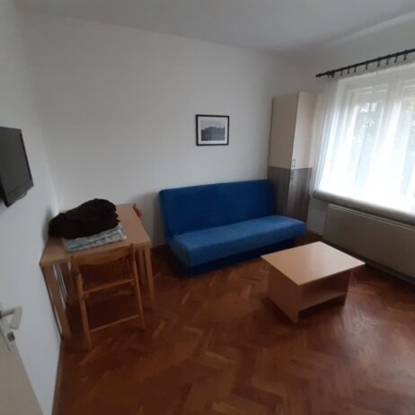 Izdajem namesten trosoban stan u centru Nisa. Grejanje TA. Cena 300 eura. 0654119889
