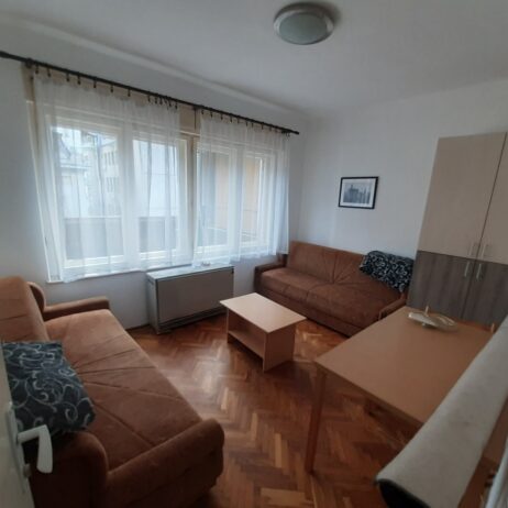 Izdajem namesten trosoban stan u centru Nisa. Grejanje TA. Cena 300 eura. 0654119889