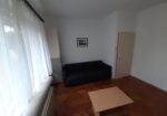 Izdajem namesten trosoban stan u centru Nisa. Grejanje TA. Cena 300 eura. 0654119889