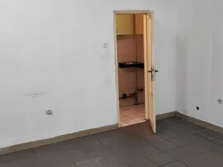 481230856_1178662330929583_7949452994264307357_n