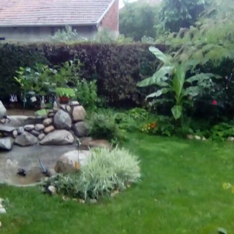 Izdajem namešten stan u prizemlju kuće u Brzom Brdu, sa parnim grejanjem. Stan je za jednu ili dve osobe. Sa svim troškovima i stanarinom – ukupna cena je 300E. Br tel. 0641735506
