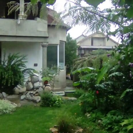Izdajem namešten stan u prizemlju kuće u Brzom Brdu, sa parnim grejanjem. Stan je za jednu ili dve osobe. Sa svim troškovima i stanarinom – ukupna cena je 300E. Br tel. 0641735506