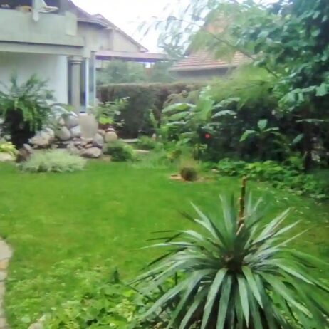 Izdajem namešten stan u prizemlju kuće u Brzom Brdu, sa parnim grejanjem. Stan je za jednu ili dve osobe. Sa svim troškovima i stanarinom – ukupna cena je 300E. Br tel. 0641735506