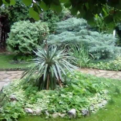 Izdajem namešten stan u prizemlju kuće u Brzom Brdu, sa parnim grejanjem. Stan je za jednu ili dve osobe. Sa svim troškovima i stanarinom – ukupna cena je 300E. Br tel. 0641735506