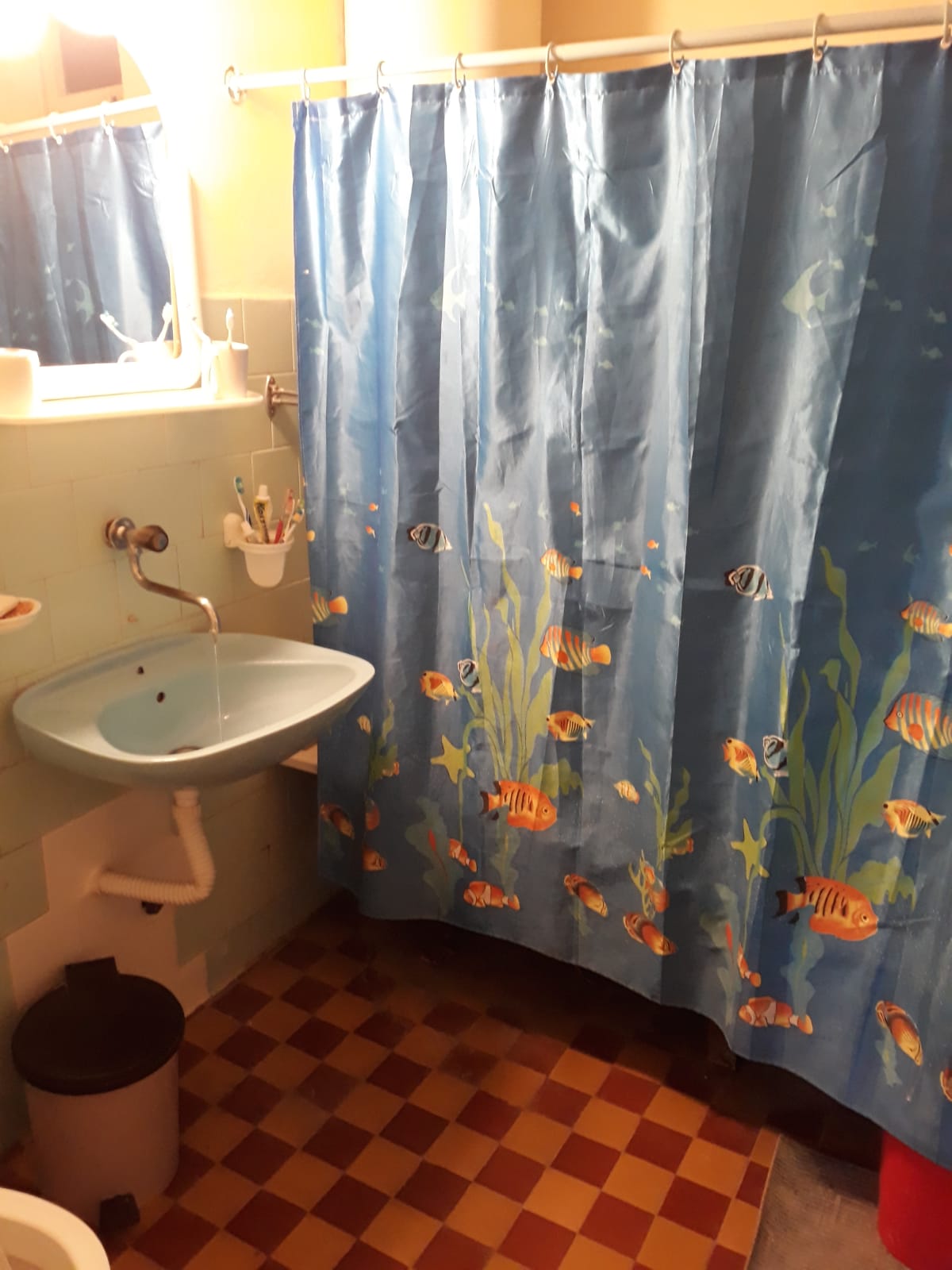 Izdajem stan u Dimitrovgradskoj ulici