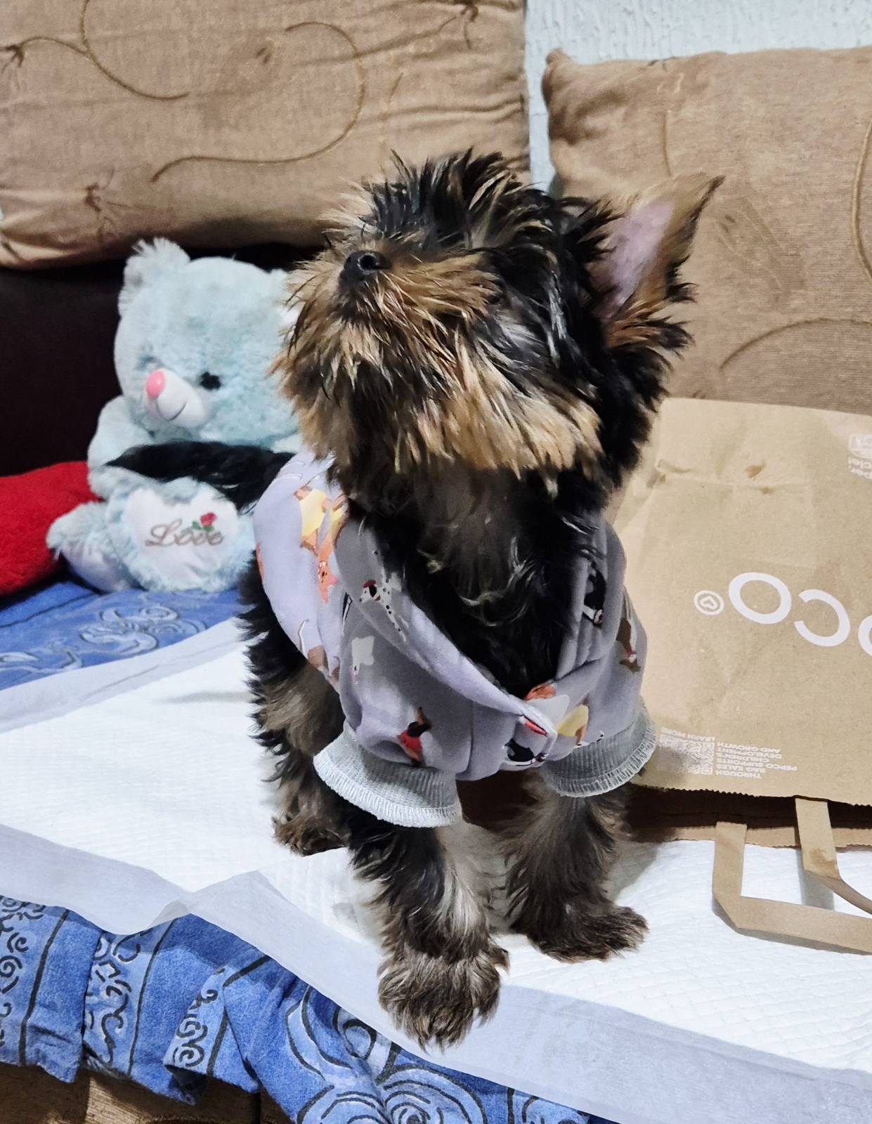 Prodajem Yorki stence