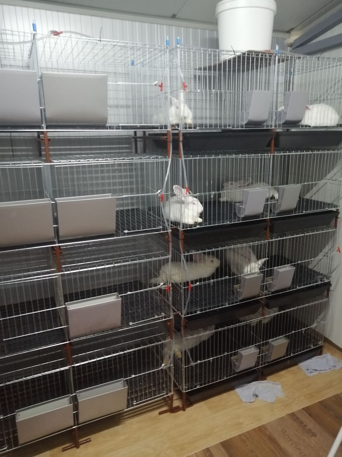 Kavezi za koke, pilice i zeceve