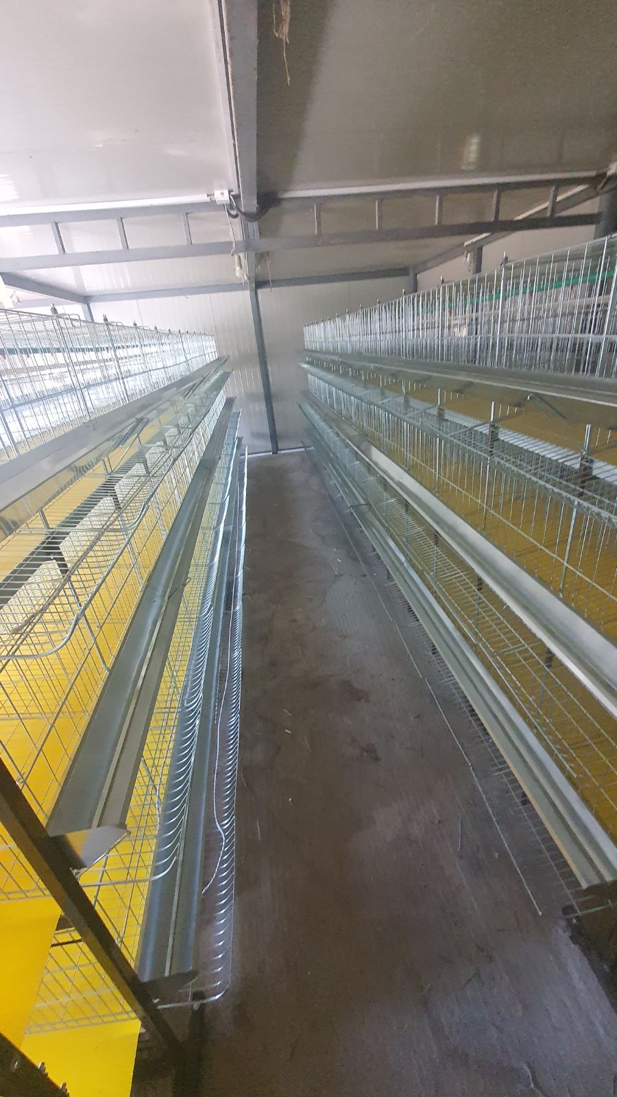 Kavezi za koke, pilice i zeceve