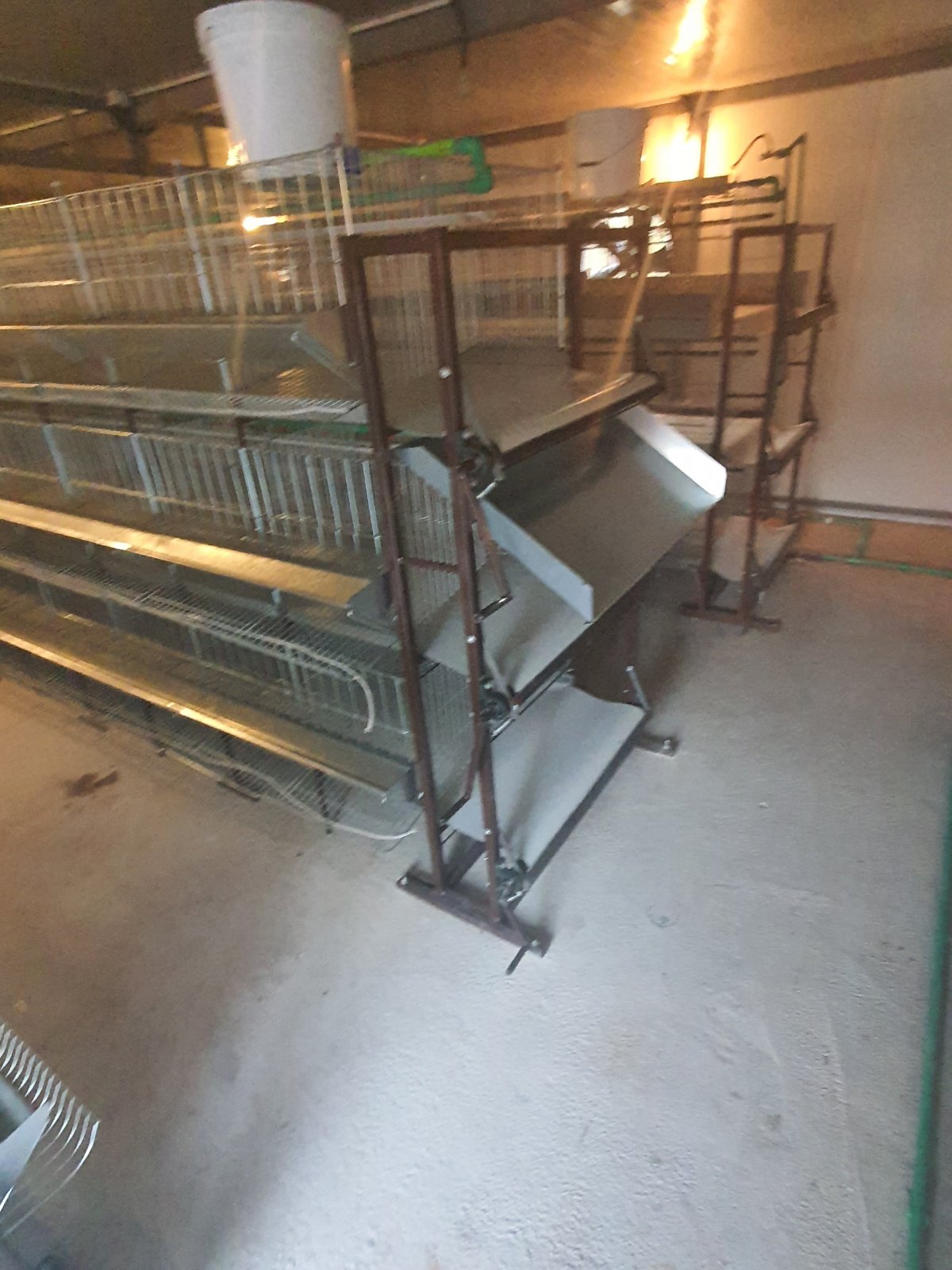 Kavezi za koke, pilice i zeceve