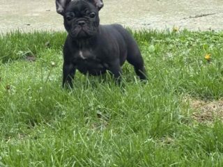 viber_slika_2025-11-13_23-15-45-824