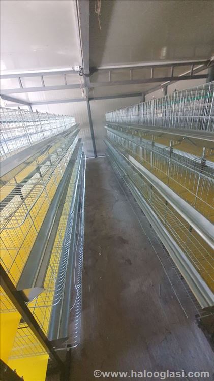 Kavezi za koke, pilice i zeceve