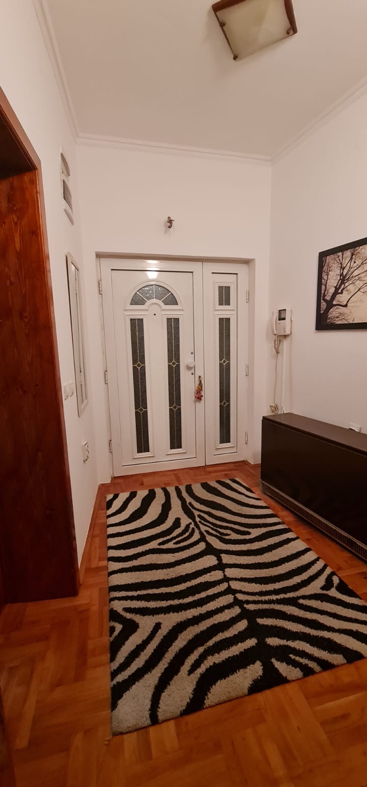 Izdajem stan u centru nisa