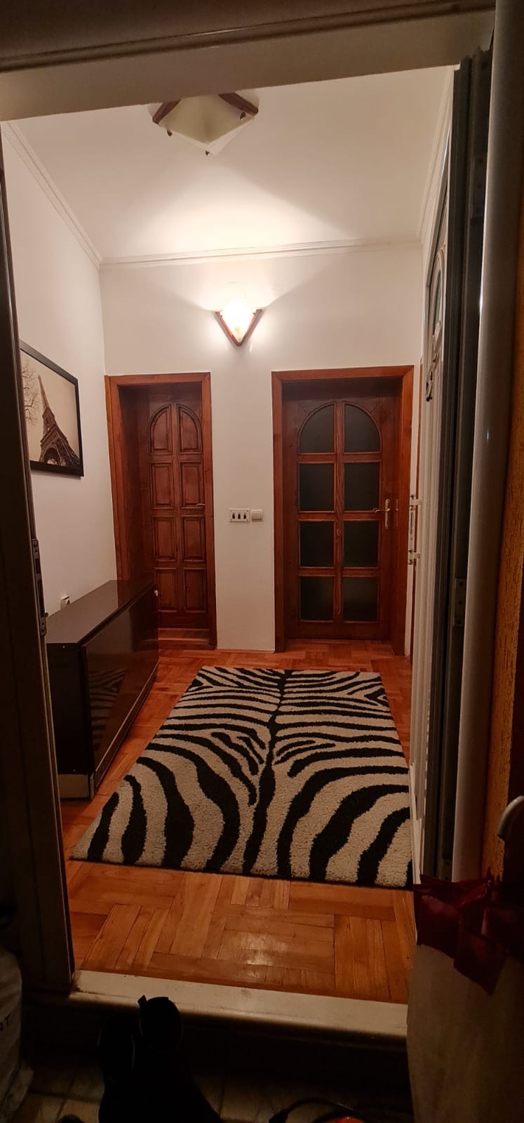 Izdajem stan u centru nisa