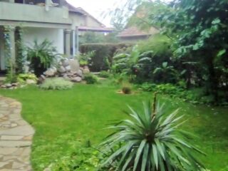 557559796_1376709247791556_6125748160475507544_n