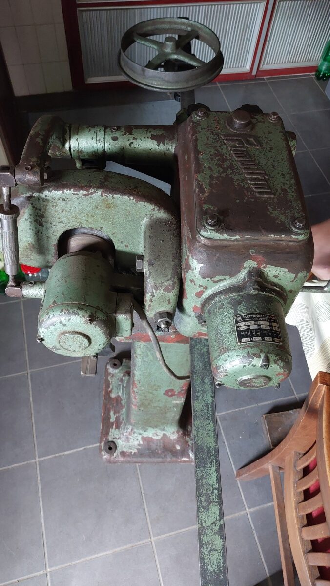 Oštrilica trakastih testera Primultini