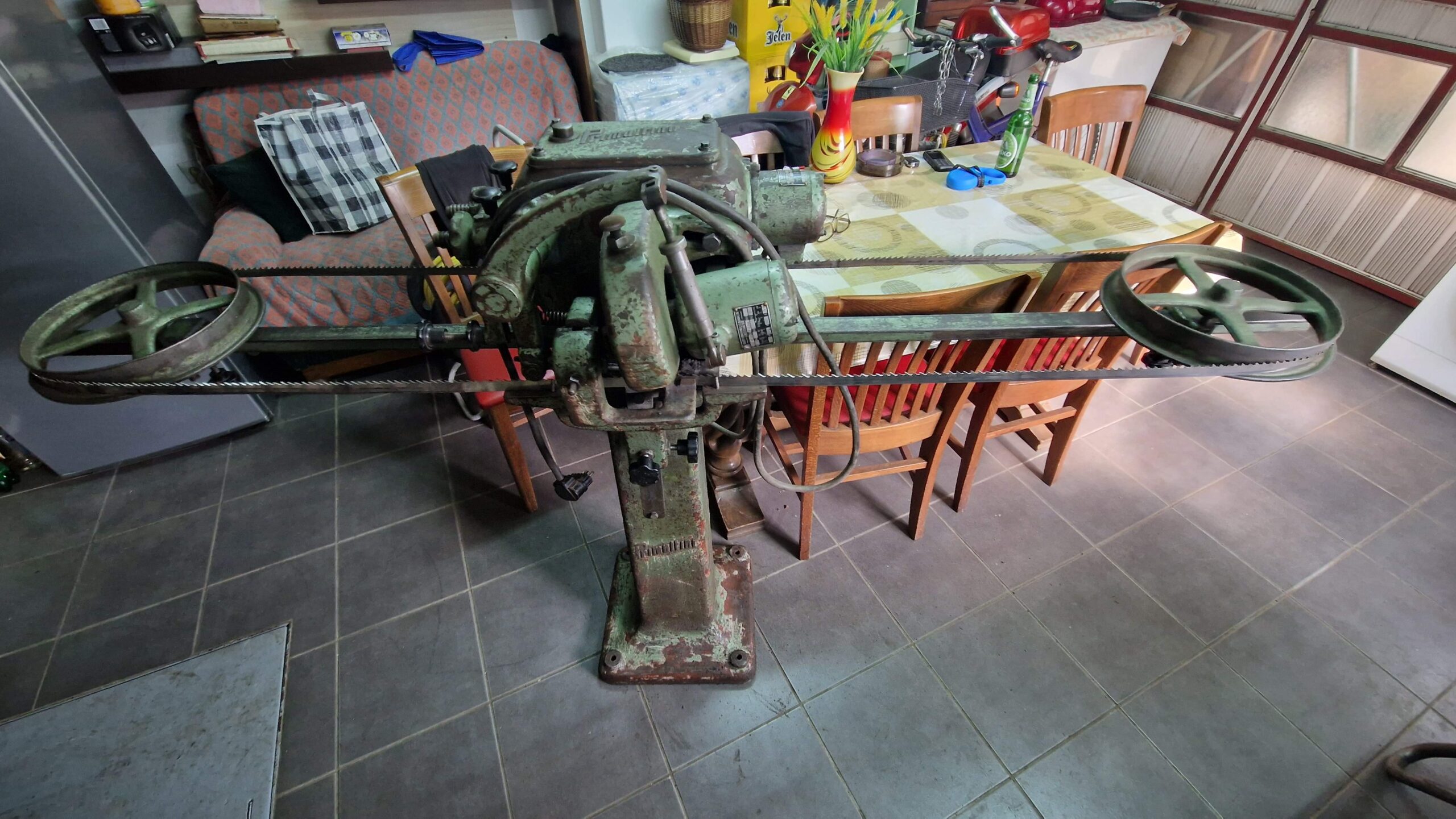 Oštrilica trakastih testera Primultini