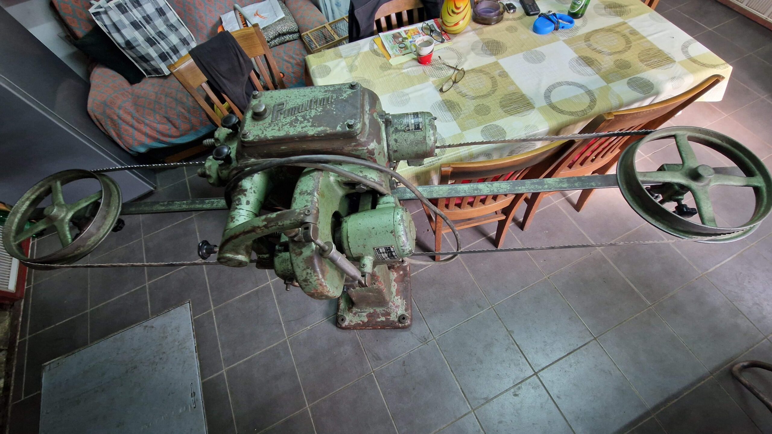 Oštrilica trakastih testera Primultini