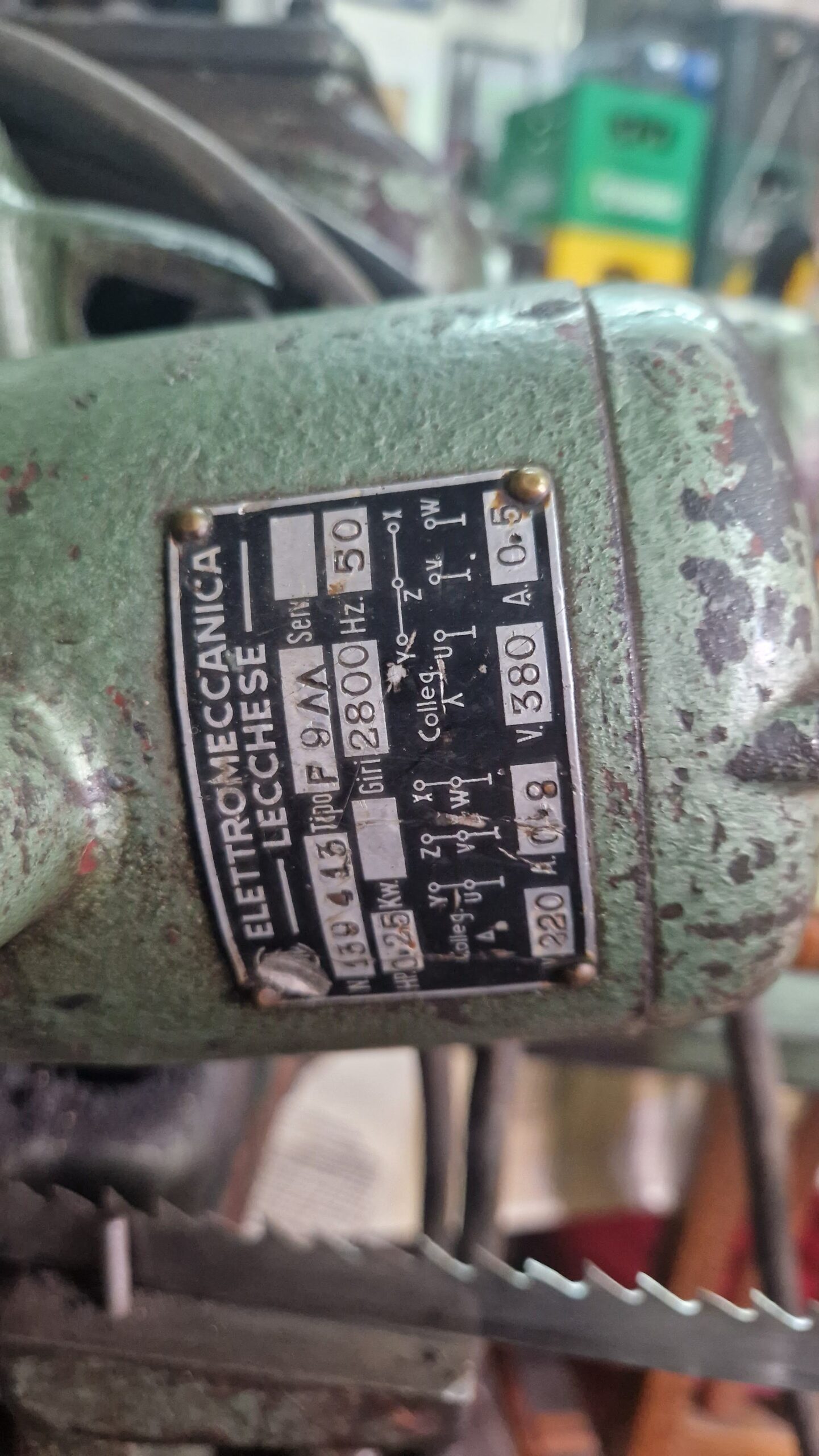 Oštrilica trakastih testera Primultini