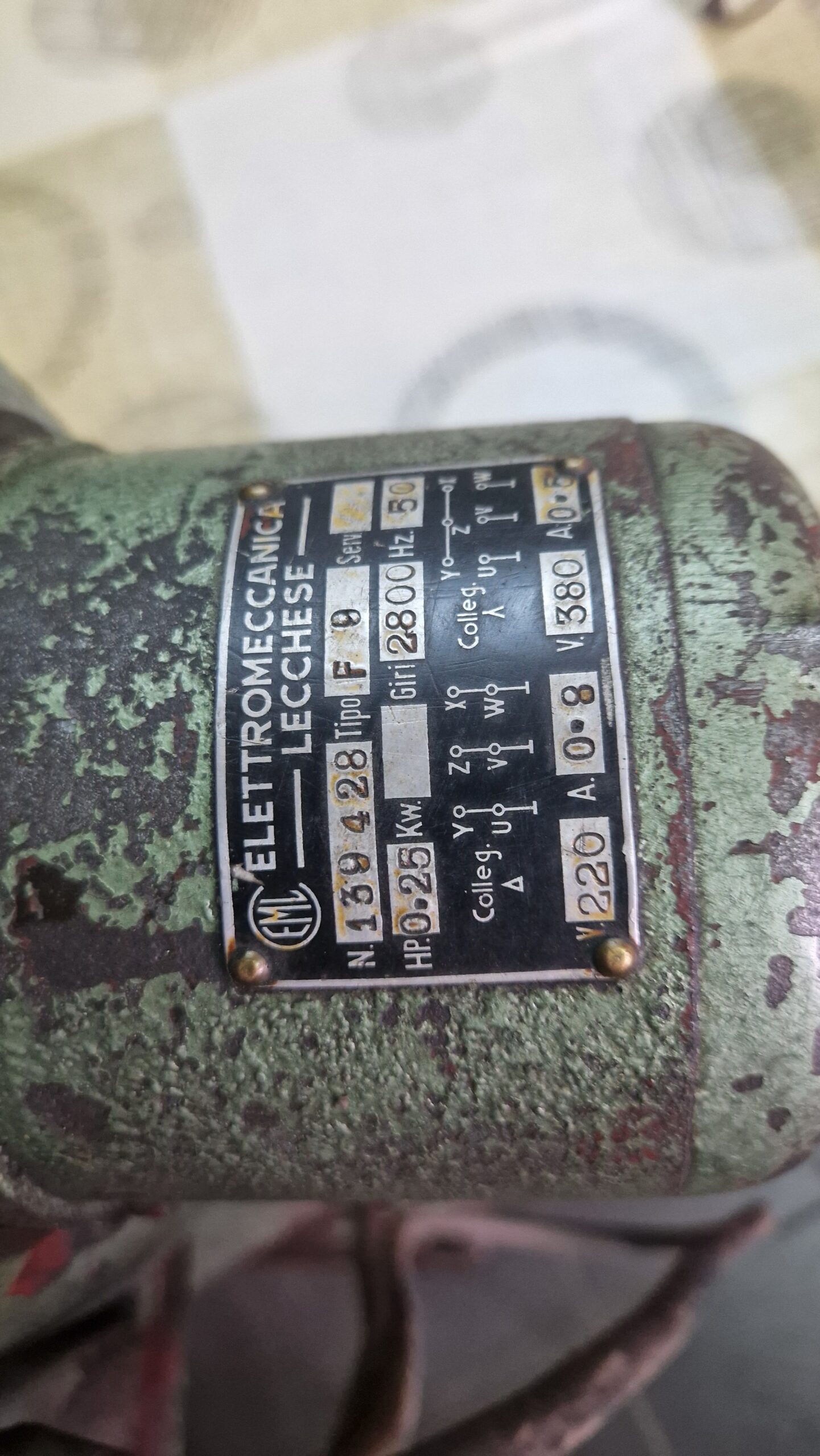 Oštrilica trakastih testera Primultini