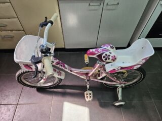 20240928_130201-Custom