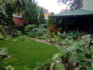 481247308_1177204144408735_2433459913215095350_n