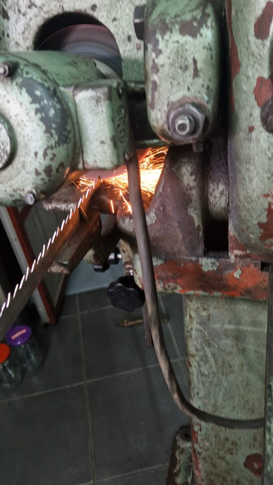 Oštrilica trakastih testera Primultini