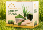 Barley Grass – Kesice