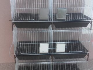 viber_slika_2024-10-28_16-32-33-023