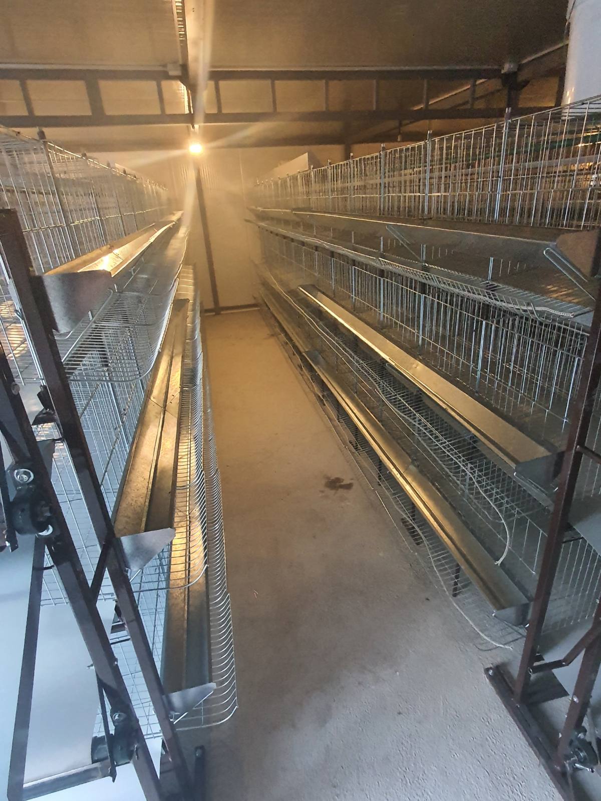 Kavezi za koke, pilice i zeceve