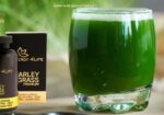 Barley Grass Premium – Ječmena trava