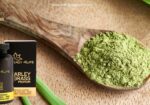 Barley Grass Premium – Ječmena trava