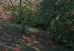 Prodajem kuću od 119 m² na 5 Ara placa a 50 m od centra Niške banje uknjiženo vlasnik 1/1 struja, voda sve ima cena 49.000 EUR. Tel. 0641126722